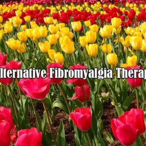 Alternative Fibromyalgia Therapies