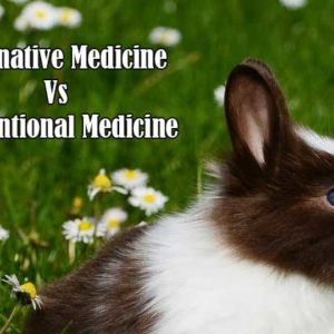 Alternative Medicine Vs Conventional Medicine