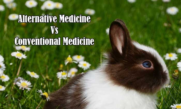 Alternative Medicine Vs Conventional Medicine
