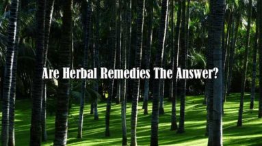Are Herbal Remedies The Answer?