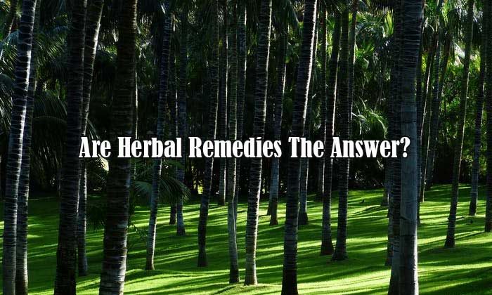 Are Herbal Remedies The Answer?