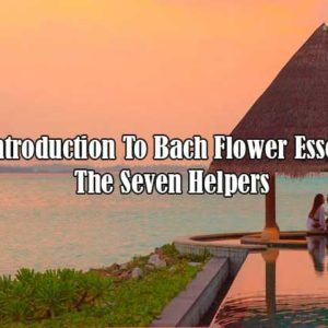 An Introduction To Bach Flower Essences? The Seven Helpers