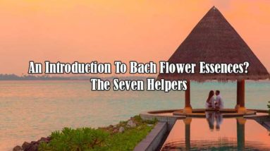 An Introduction To Bach Flower Essences? The Seven Helpers